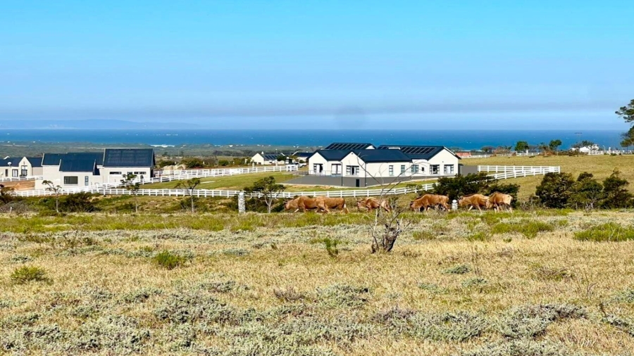0 Bedroom Property for Sale in Kabeljauws Eastern Cape